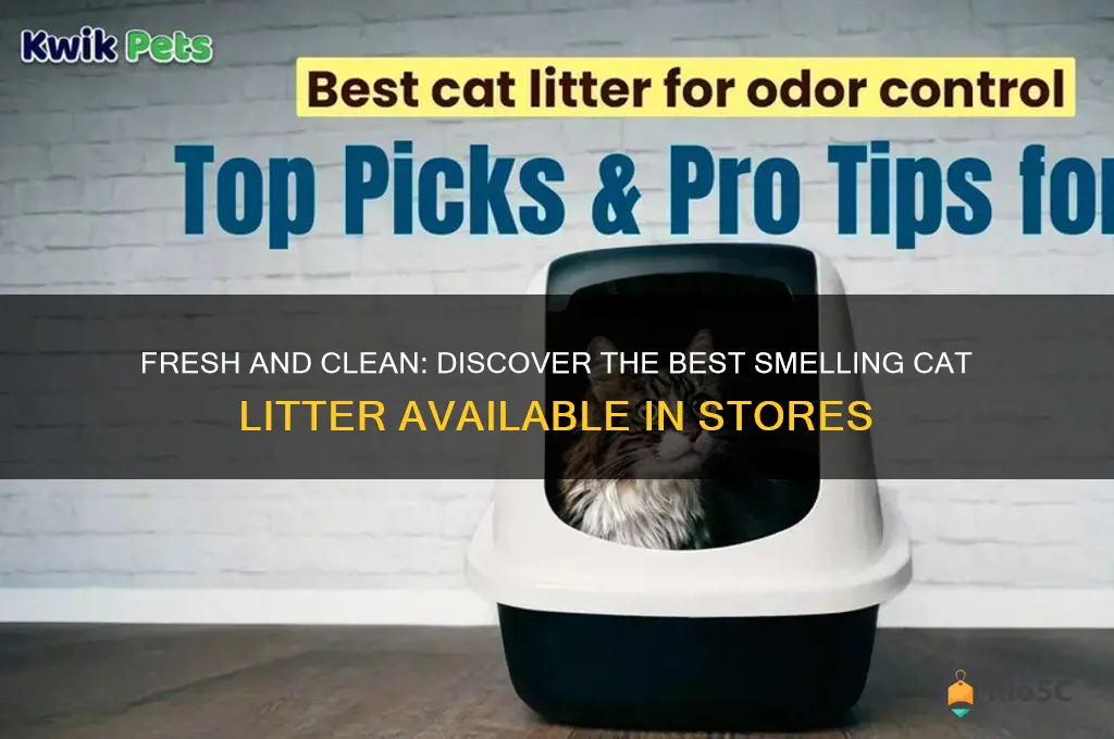 best smelling cat litter in store