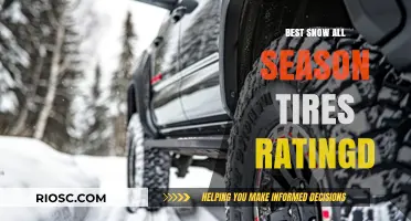 Top-Rated All-Season Tires for Snowy Conditions: A Comprehensive Guide