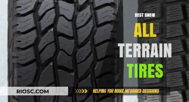 Conquer Any Terrain: Top Snow All-Terrain Tires for Unmatched Performance