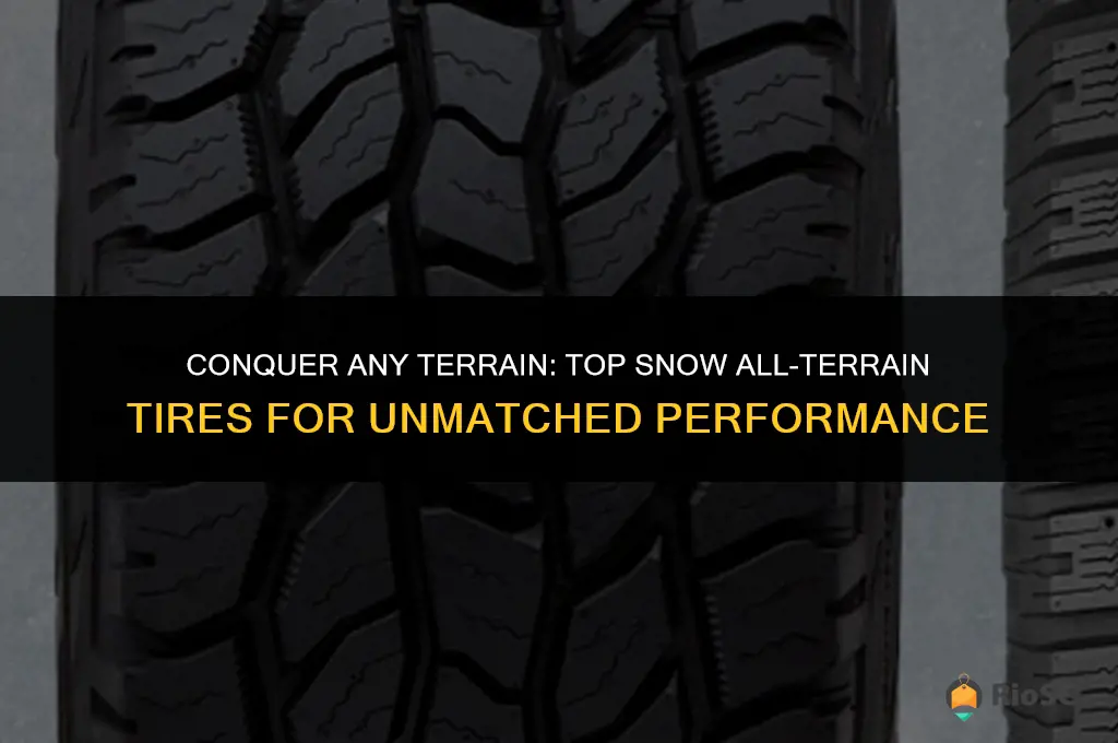 best snow all terrain tires