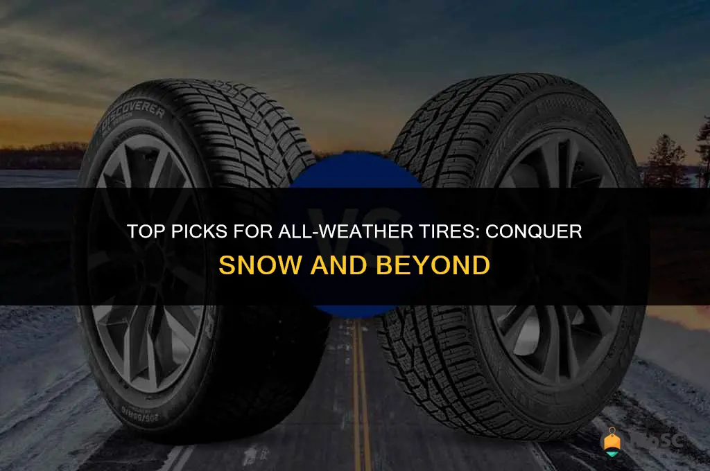 best snow all weather tires