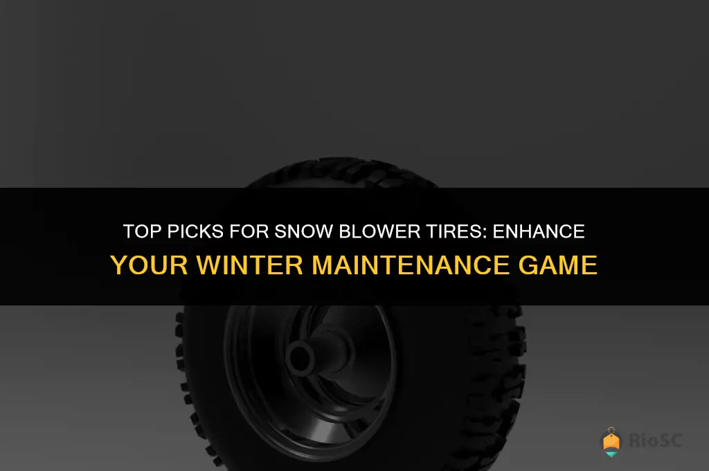 best snow blower tires
