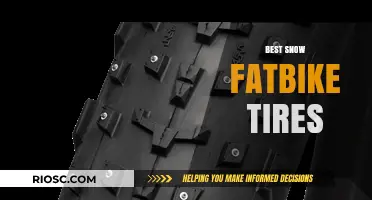 Top Snow Fatbike Tires: Unveiling the Best Options for Winter Adventures