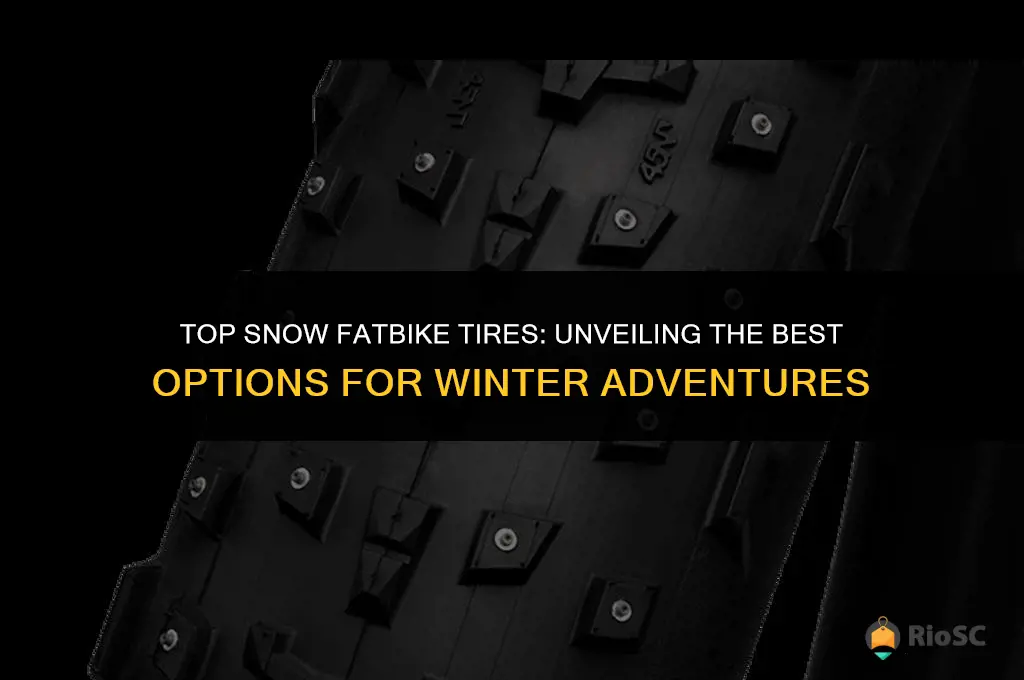 best snow fatbike tires