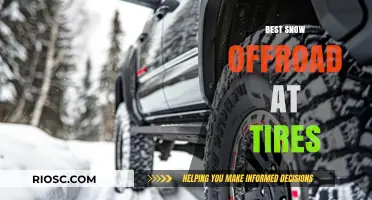Top Snow Off-Road Tires: Unveiling the Best for Winter Adventures