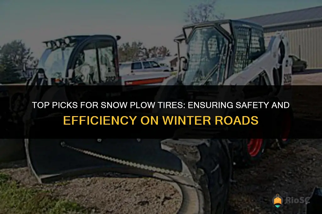 best snow plow tires