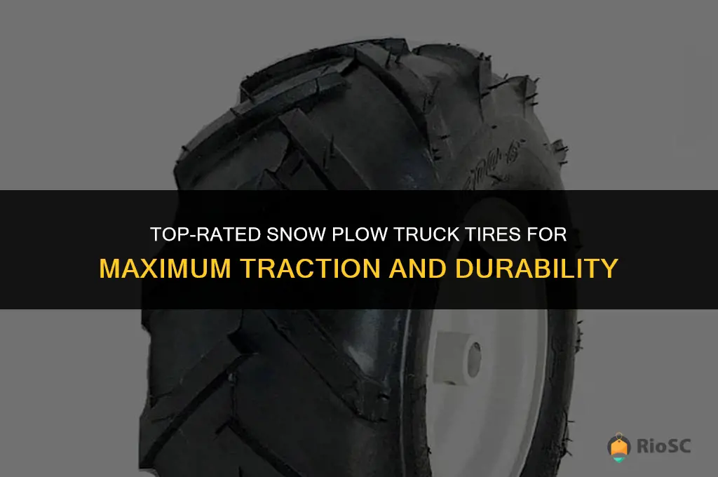 best snow plow truck tires