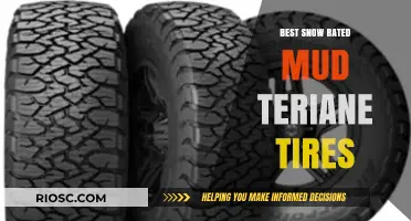 Top-Rated Mud Terrain Tires for Snowy Conditions: A Comprehensive Guide