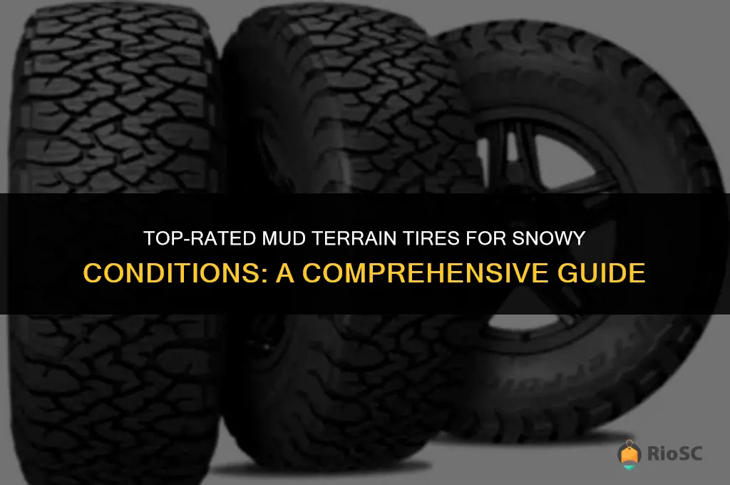 best snow rated mud teriane tires