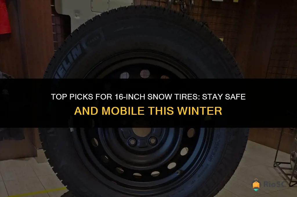 16 Inch Winter Tiresnull