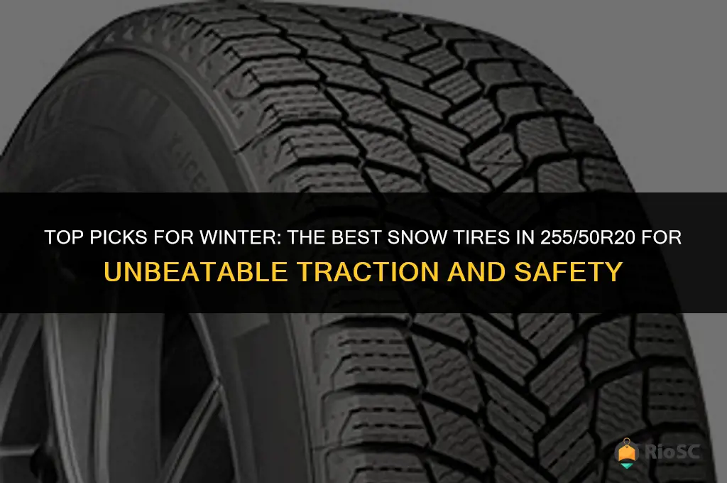 best snow tires 255 50r20