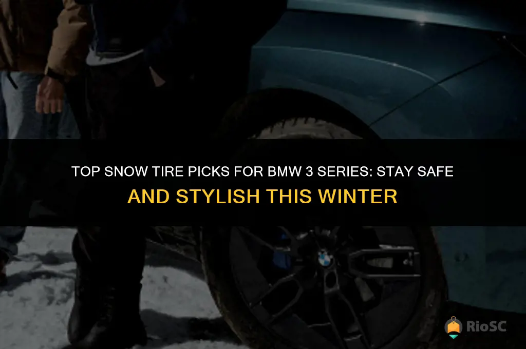 best snow tires bmw 3 series