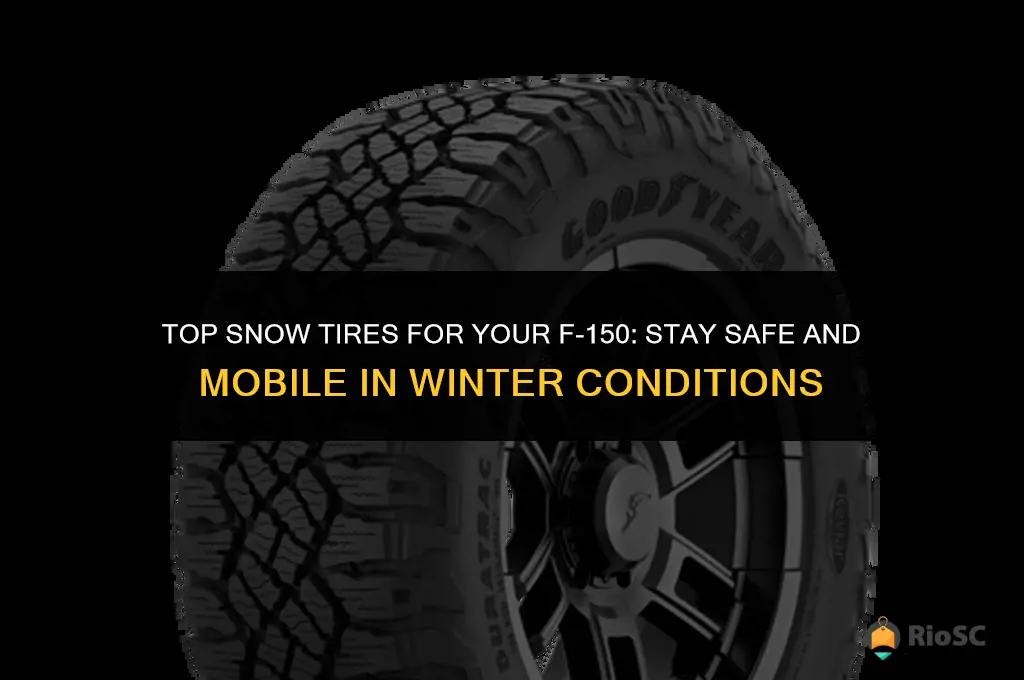 best snow tires f150