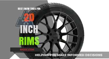 Top Picks for Winter: Best Snow Tires for 20-Inch Rims