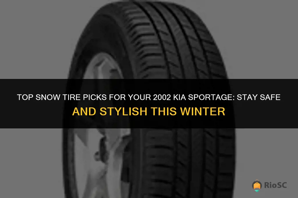 best snow tires for 2002 kia sportage