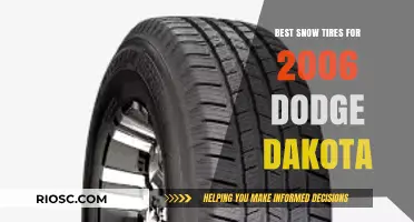 Top Snow Tires for Your 2006 Dodge Dakota: Stay Safe and Mobile in Winter Conditions