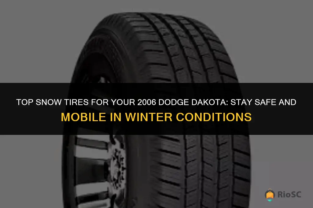 best snow tires for 2006 dodge dakota