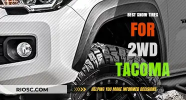 Top Snow Tire Picks for Your 2WD Tacoma: Stay Safe and Mobile in Winter Conditions