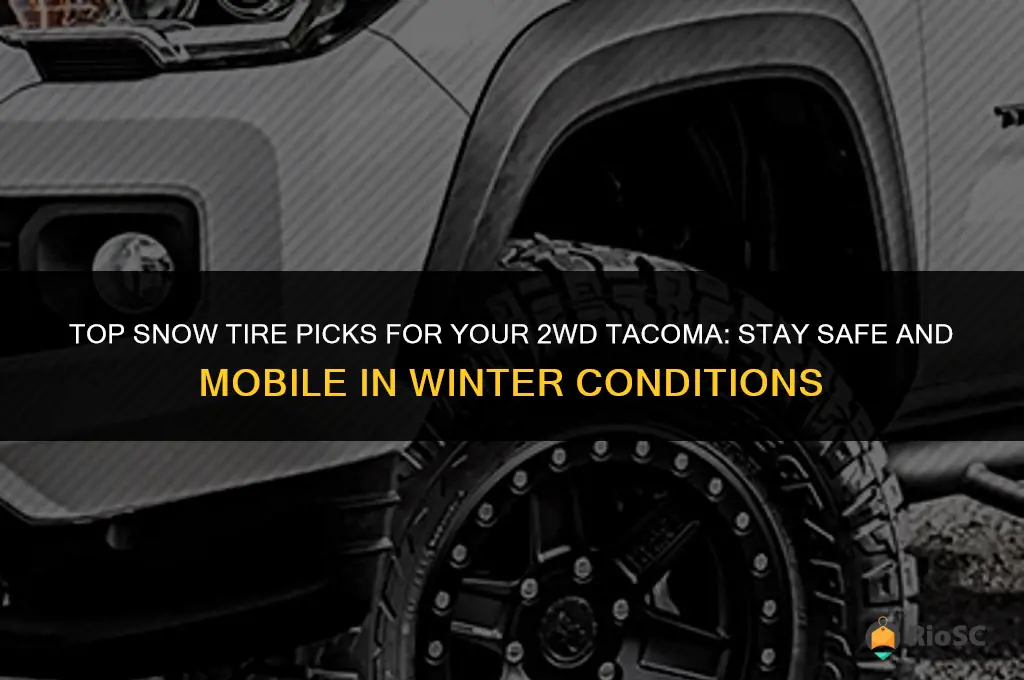 best snow tires for 2wd tacoma