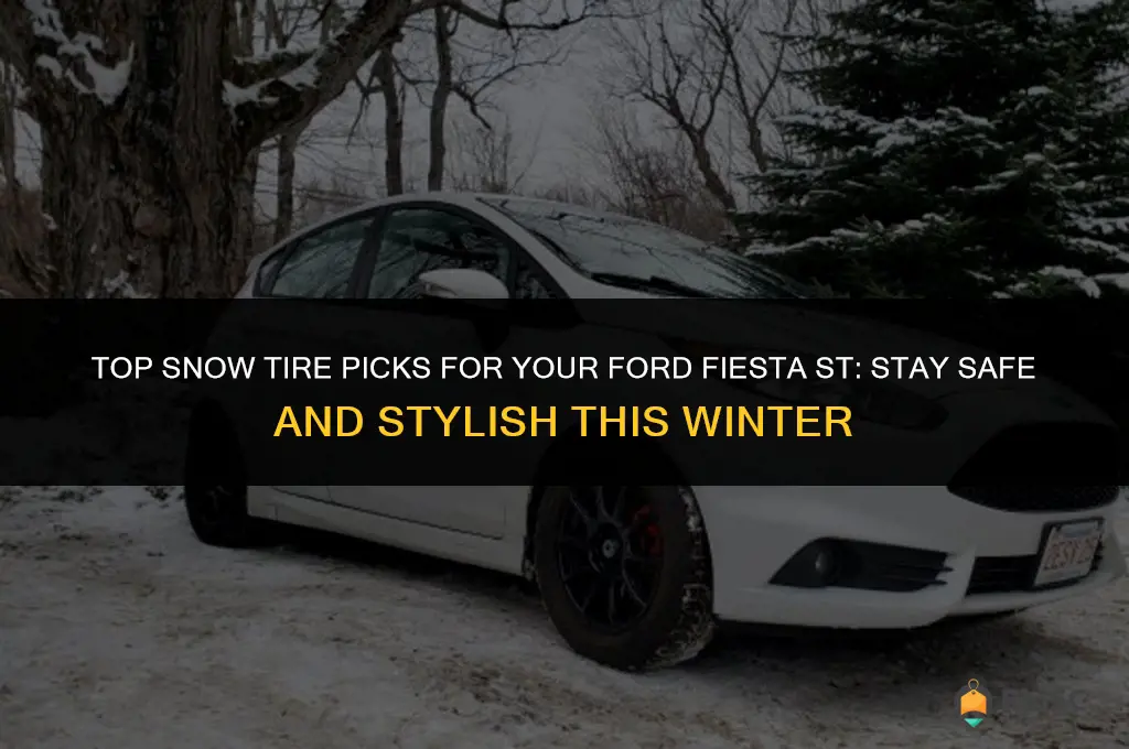 best snow tires for a ford fiesta st