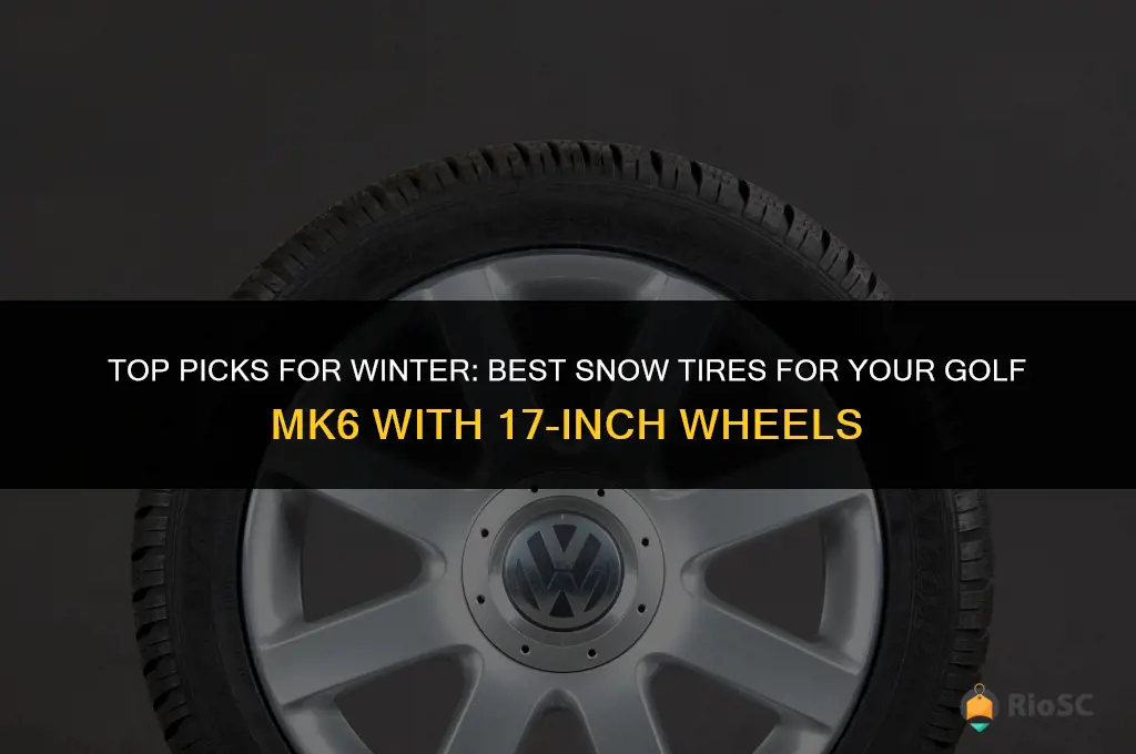 best snow tires for a golf mk6 with 17s