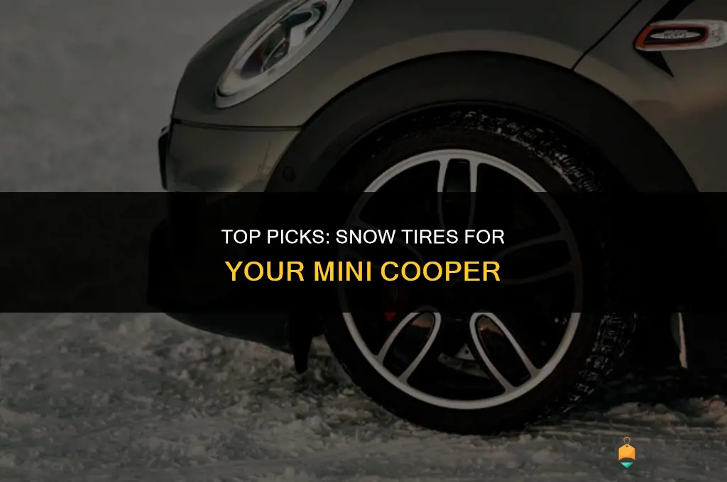 best snow tires for a mini