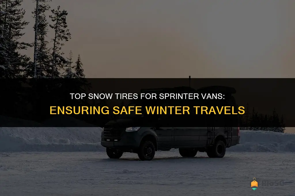 best snow tires for a sprinter van