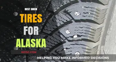 Conquering Alaska's Winter Roads: Top Snow Tire Picks for Unmatched Traction and Safety