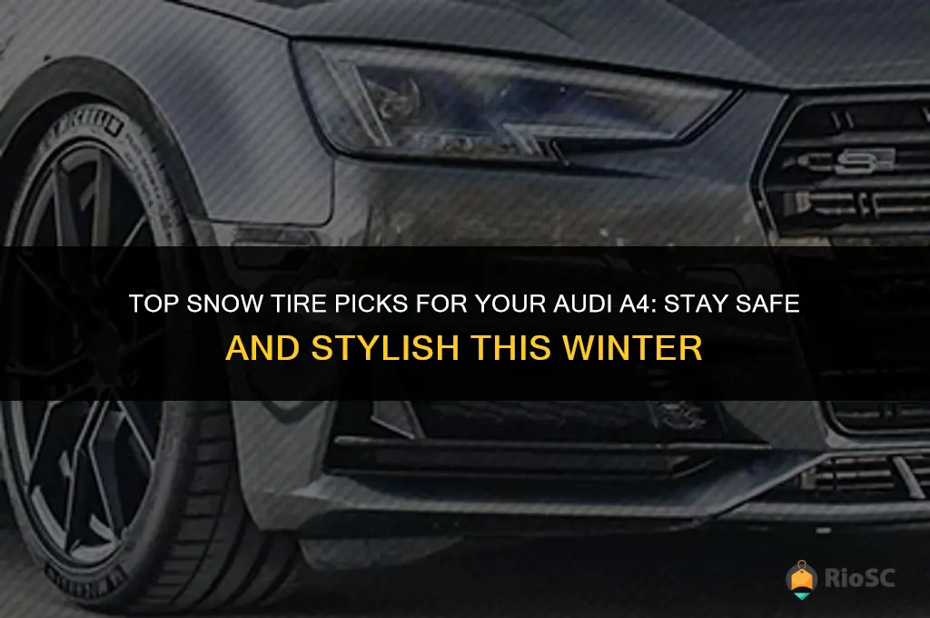 best snow tires for audi a4