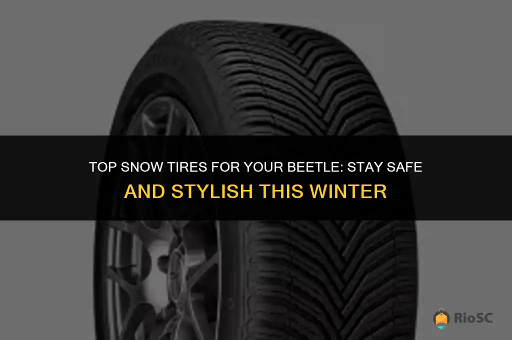 best snow tires for beetle