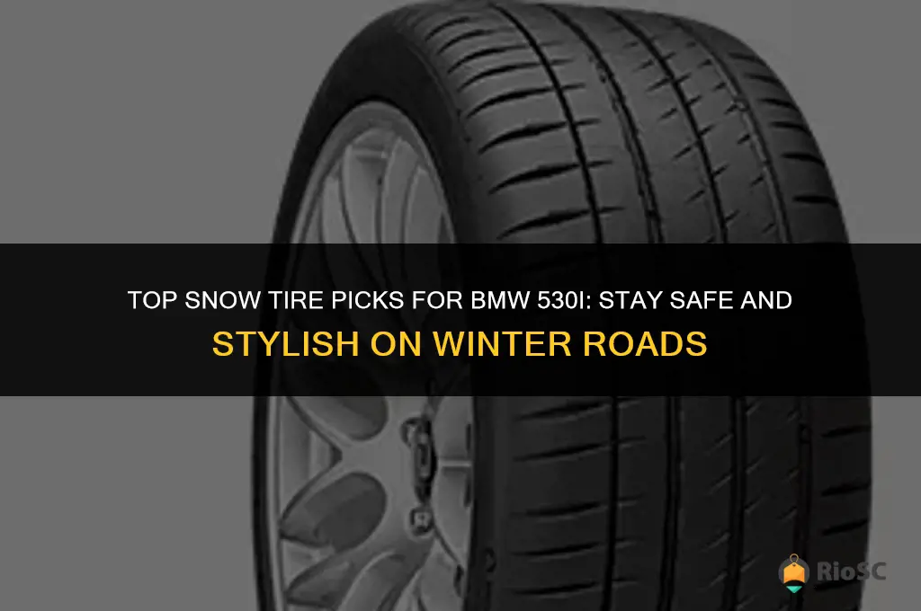 best snow tires for bmw 530i