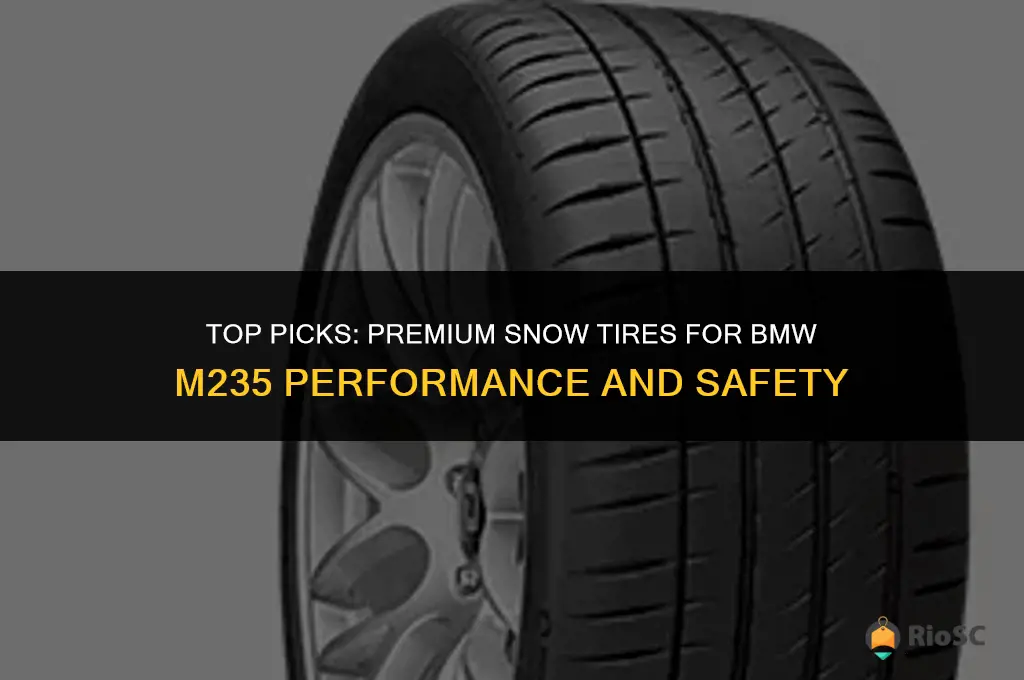 best snow tires for bmw m235