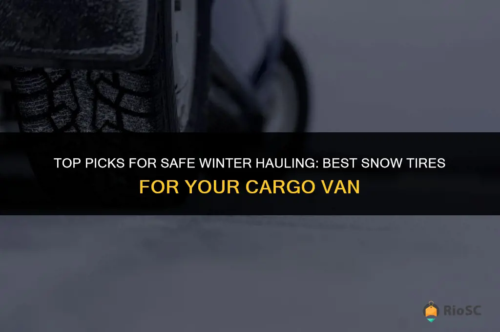 best snow tires for cargo van