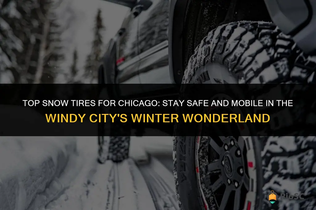 best snow tires for chicago