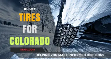 Conquer Colorado's Winter Roads: Top Snow Tire Picks for Unmatched Traction and Safety