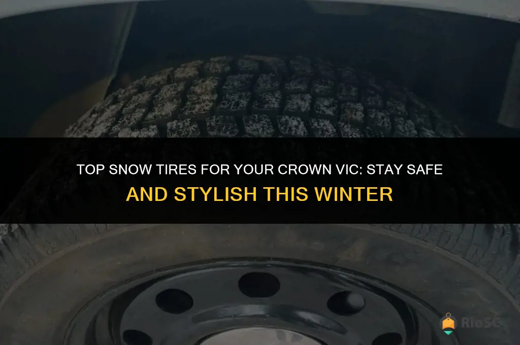 best snow tires for crown vic