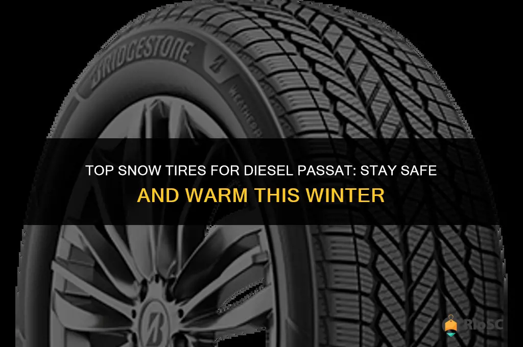 best snow tires for diesel passat