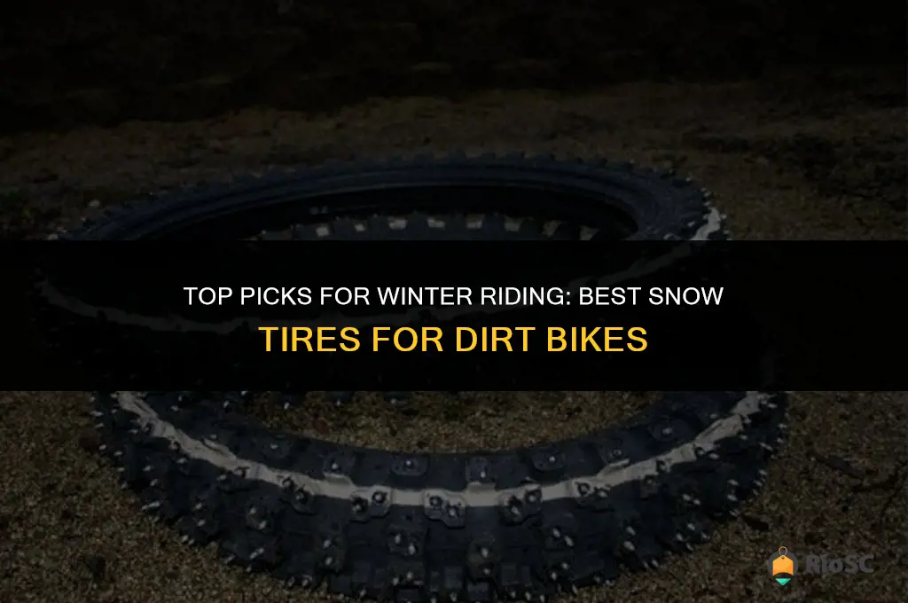 best snow tires for dirt bike