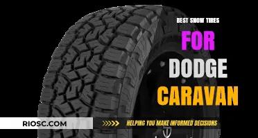 Top Snow Tire Picks for Your Dodge Caravan: Stay Safe and Mobile in Winter Conditions