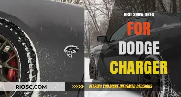 Top Snow Tire Picks for Your Dodge Charger: Stay Safe and Stylish This Winter