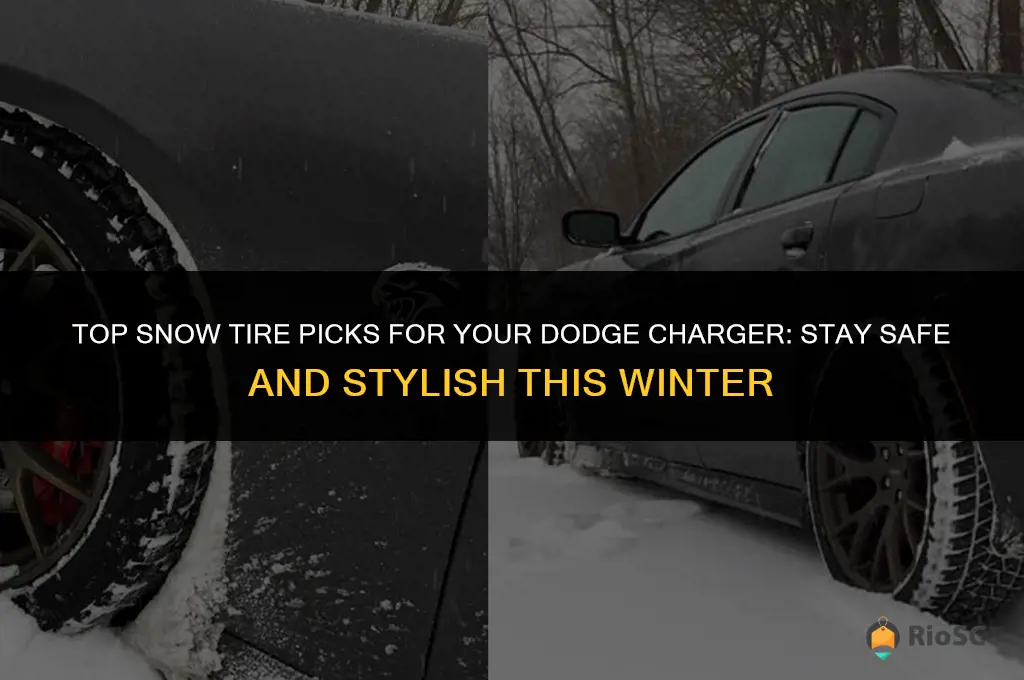 best snow tires for dodge charger