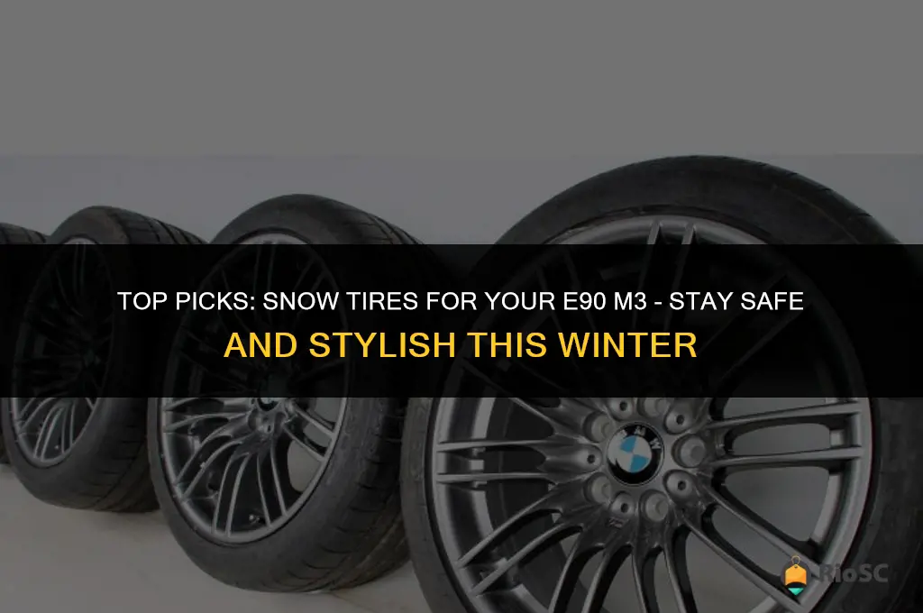 best snow tires for e90 m3