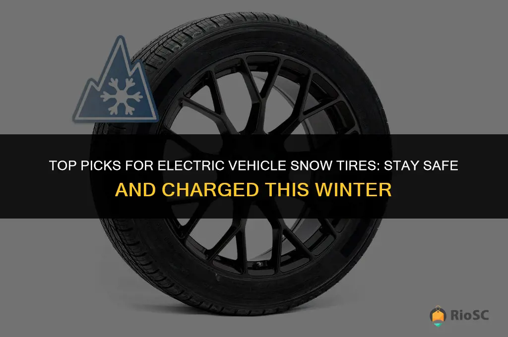 best snow tires for ev