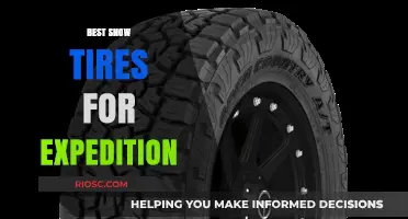 Top Picks for Expedition Snow Tires: Unmatched Traction and Durability for Winter Adventures