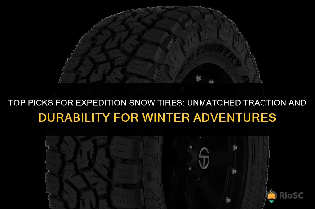 best snow tires for expedition