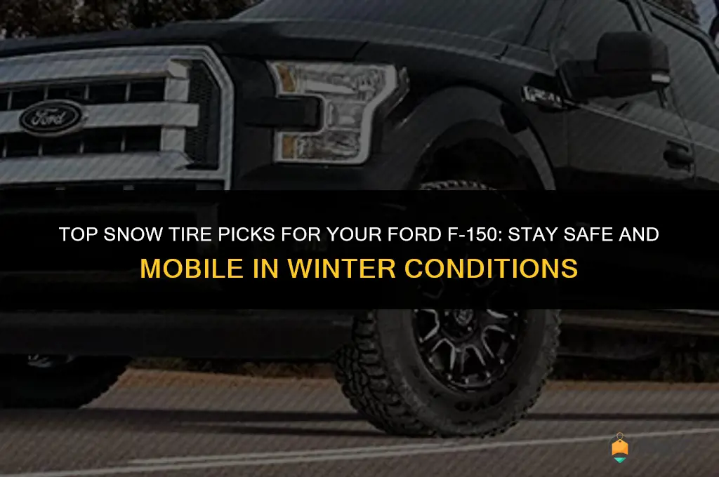 best snow tires for f150