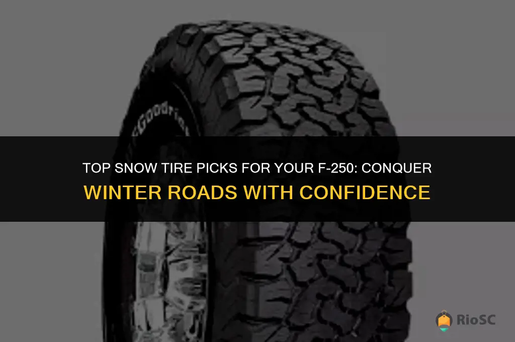 best snow tires for f250