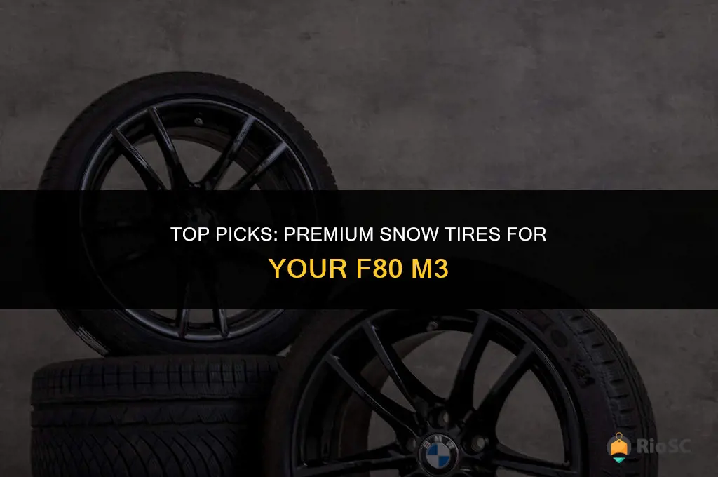 best snow tires for f80 m3