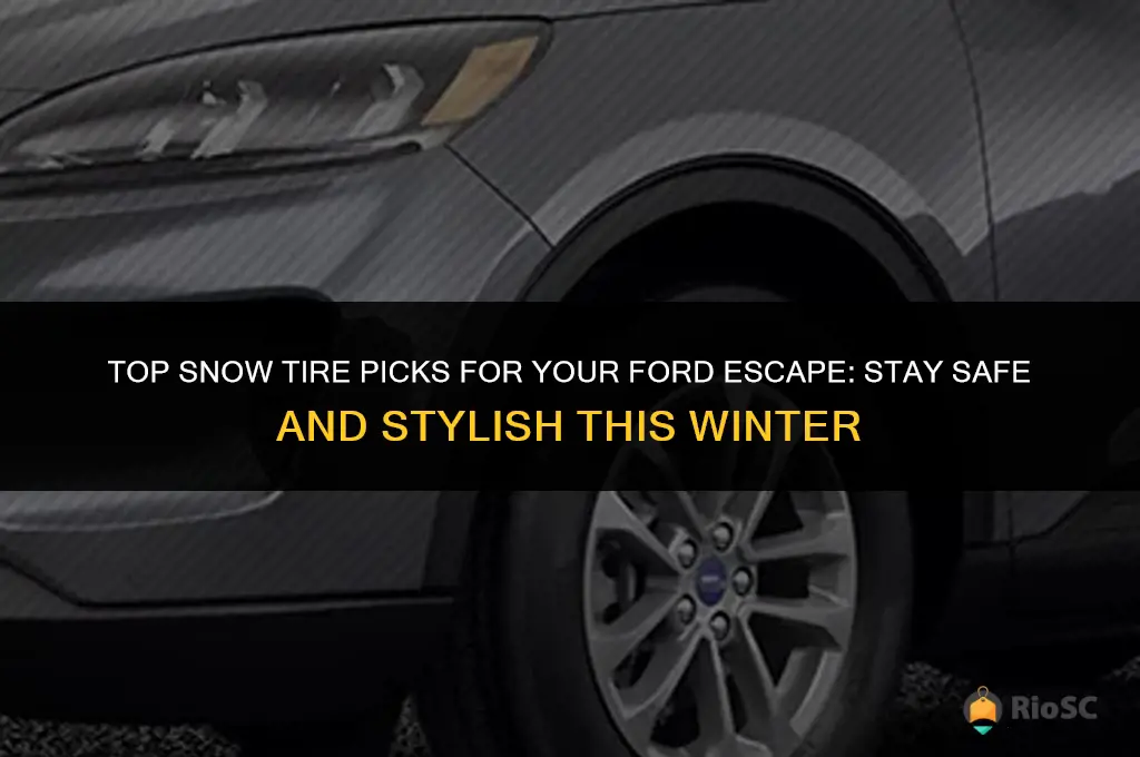 best snow tires for ford escape