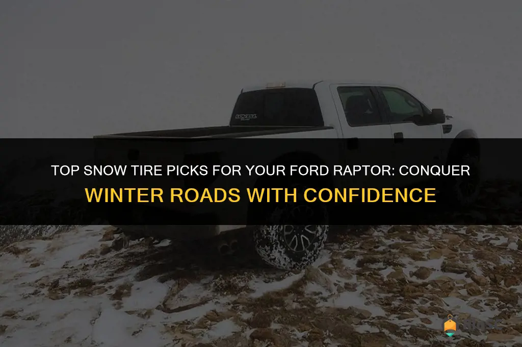 best snow tires for ford raptor